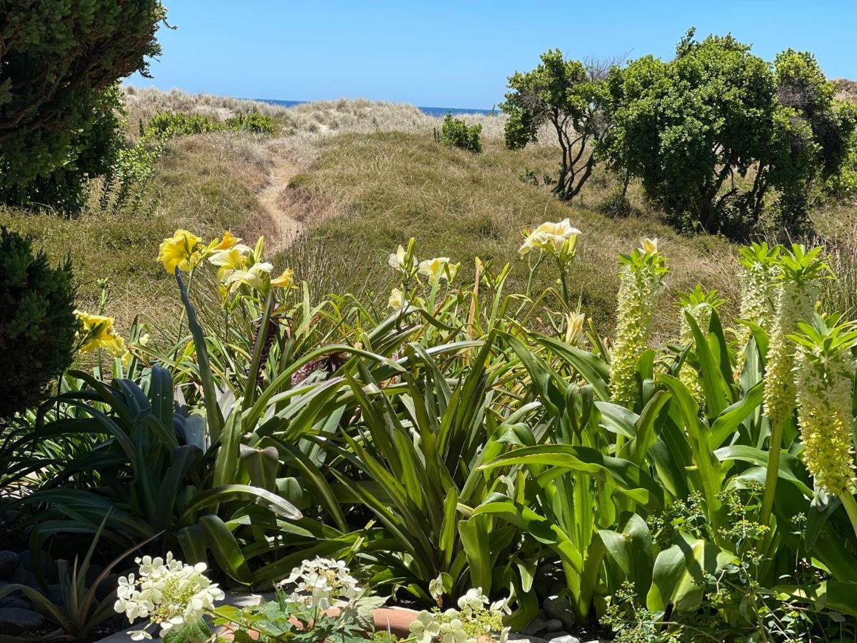 Absolute Beach Mount Maunganui Luaran gambar