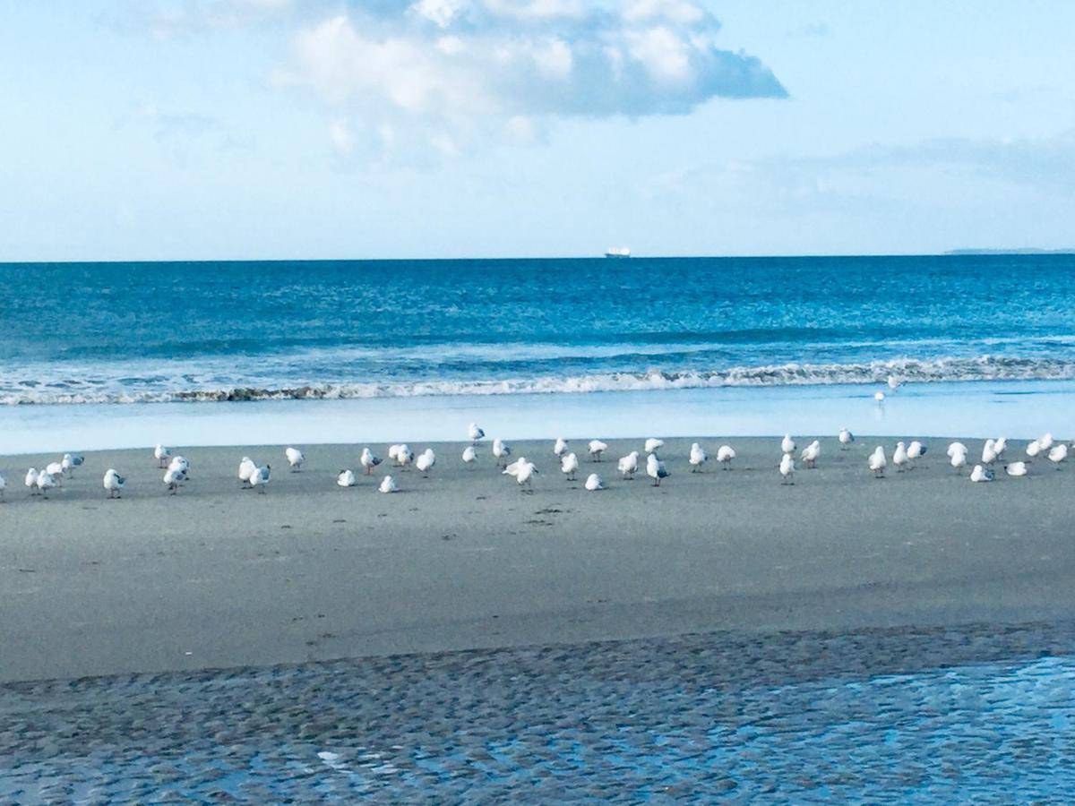 Absolute Beach Mount Maunganui Luaran gambar